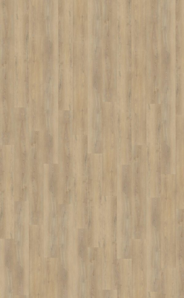 Palazzo 720 | Rigid Click